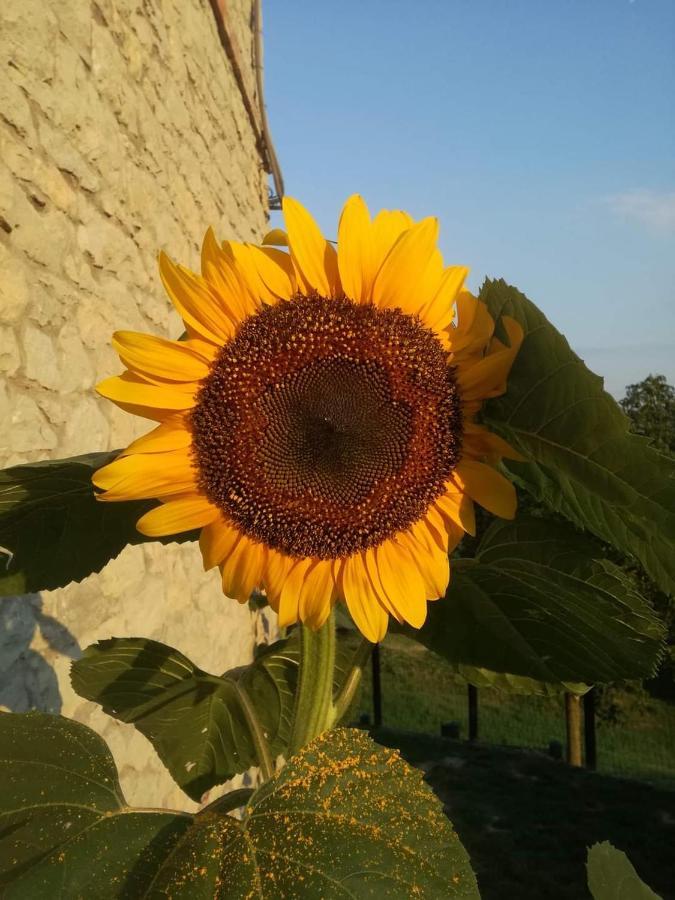 Bed and Breakfast Casale Monte Valestra Bebbio Esterno foto