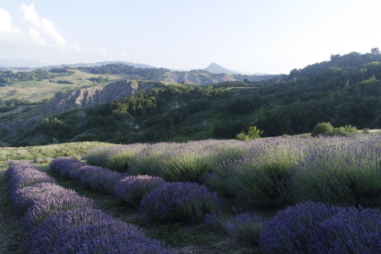 Bed and Breakfast Casale Monte Valestra Bebbio Esterno foto