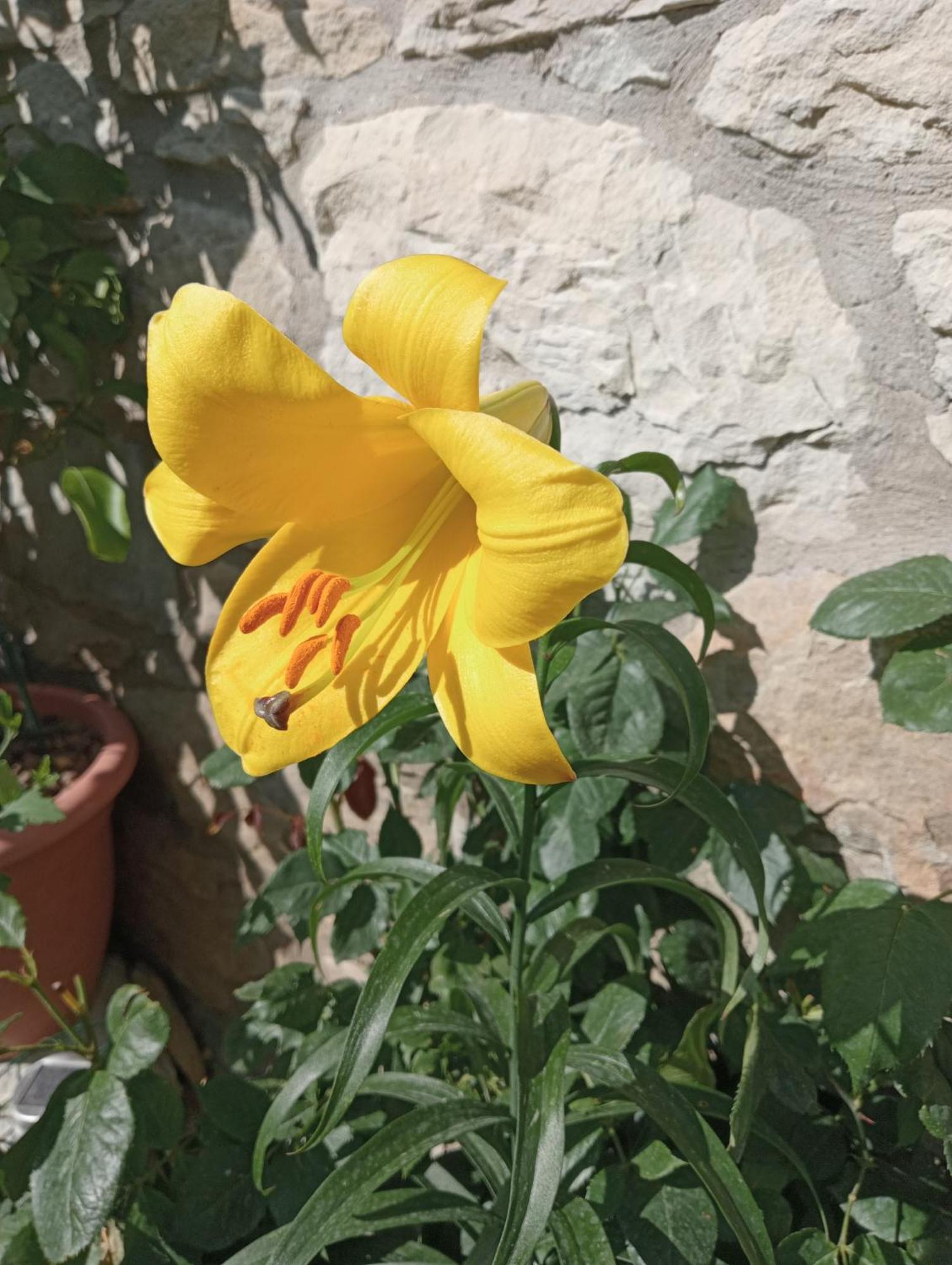 Bed and Breakfast Casale Monte Valestra Bebbio Camera foto