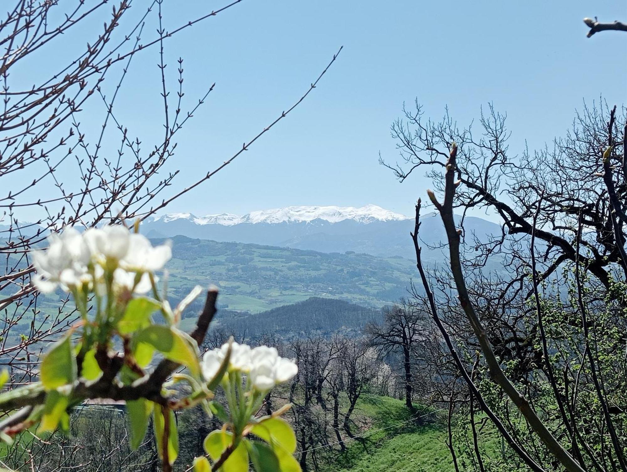 Bed and Breakfast Casale Monte Valestra Bebbio Esterno foto